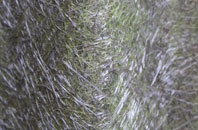 Rye fibreglass roof work